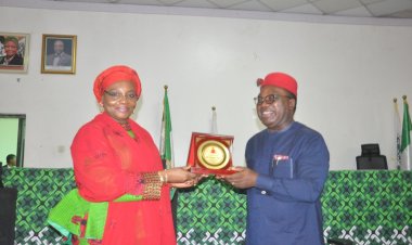 NHRC, NAOWA strategise  for stronger collaboration