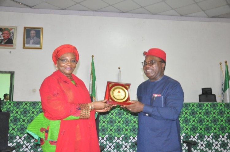 NHRC, NAOWA strategise  for stronger collaboration