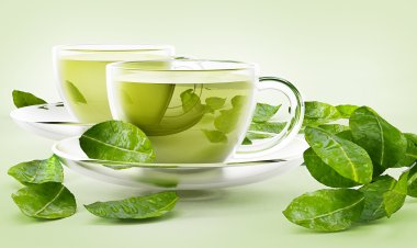 Dangerous Consequences of Drinking Green Tea- Isreali Study