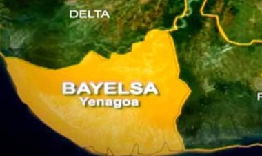 Bayelsa Guber: Reject Candidates, Running Mates, others  with Questionable Character - Body of Professionals tells voters