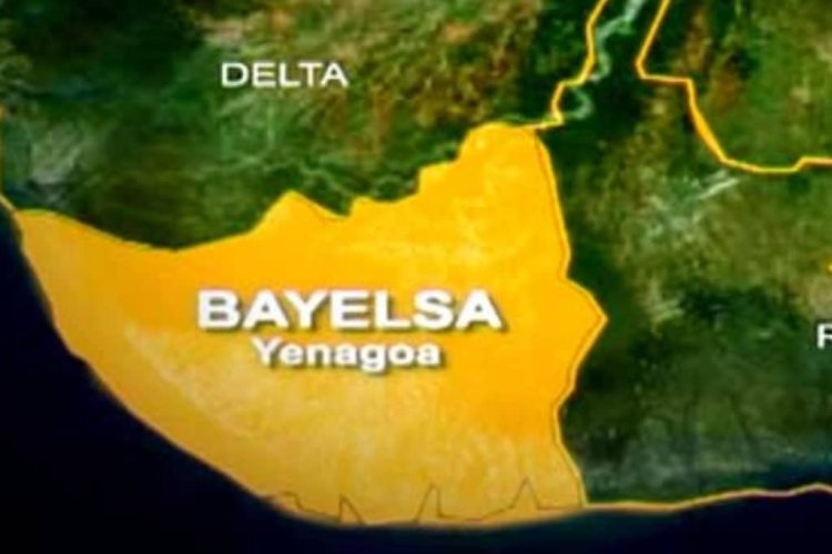 Bayelsa Guber: Reject Candidates, Running Mates, others  with Questionable Character - Body of Professionals tells voters