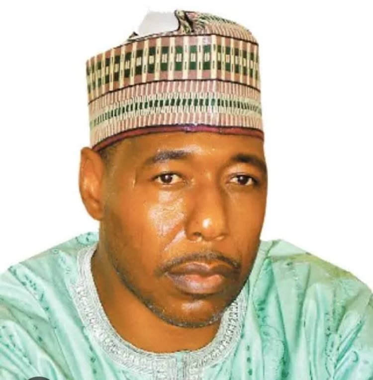 Zulum Approves 30% Review of Health Workers Allowances