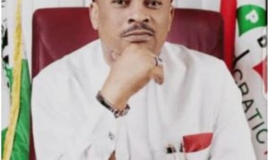 Anyanwu Withdraws Suit On PDP Secretaryship     ....Says matter has been overtaken by events
