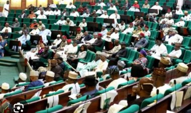 Tax Laws: Reps Refutes Report On Constitution Of Probe Committee
