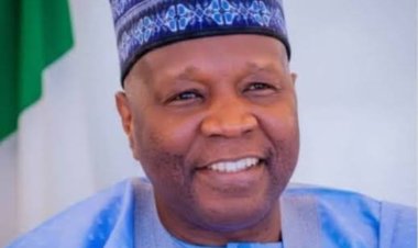 Gombe's IGR Makes Historic 500% Rise To N40bn
