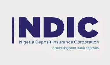 NDIC: Senate Demands Accountability In Use Of Public Funds