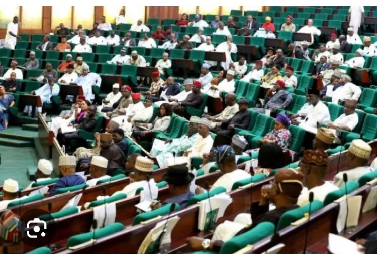 Tax Laws: Reps Refutes Report On Constitution Of Probe Committee