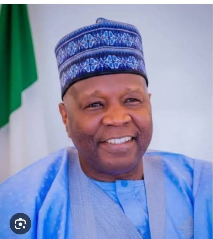 Gombe's IGR Makes Historic 500% Rise To N40bn