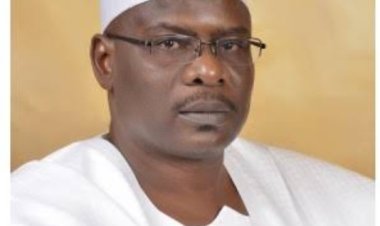 Tax Laws: Ndume Charges Reps Leadership To Call Agbese To Order In Alterations Controversy