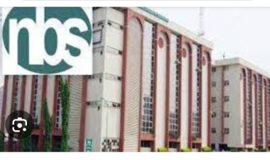 NBS Figures Indicate Food Prices Eased In November 2025