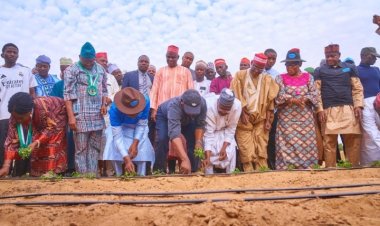 FG Flags Off Bela Dam, Launches Kaukau Drip Irrigation Projects In Kano State