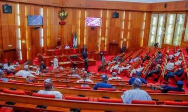Electoral Act: Senate Passes Amendment Bill After Rowdy Session Over e-Transmission