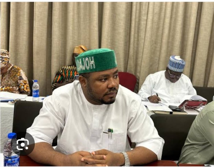 Rep Describes Ndume’s Tax Law Falsification Claims As Sheer Mischief