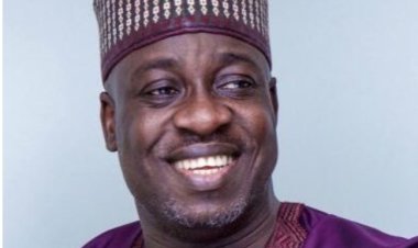 Ambassadorial Postings Another Tinubu Blunder – ADC