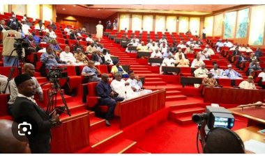 Drama In Senate As Tambuwal, Abaribe, Kingibe, Six Others Defect To ADC