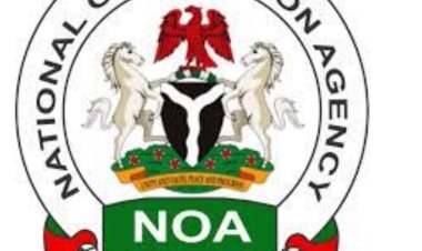 Fulfil Tax Obligations Before Demanding Accountability - NOA Tasks Nigerians