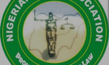 NBA Tackles Judge For Ordering Sowore’s Lawyer To Kneel In Court