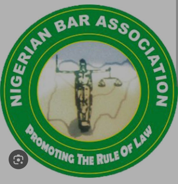 NBA Tackles Judge For Ordering Sowore’s Lawyer To Kneel In Court