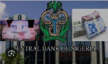 CBN Urges DFIs Recapitalisation To Close ₦230tn Financing Gap