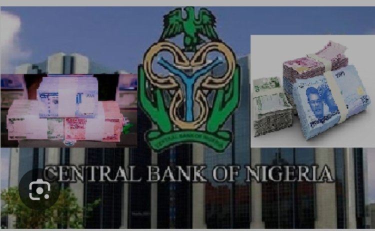 CBN Urges DFIs Recapitalisation To Close ₦230tn Financing Gap