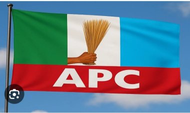 2027 Polls: Abdulaziz Yari Emerges APC Campaign DG, Uzodimma Named Secretary