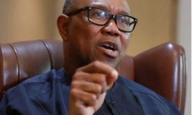 Insecurity: Nigeria Must Not Become A Killing Field, Obi Tells FG