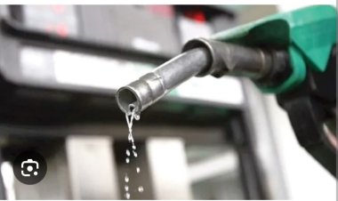 Domestic Petrol Supply Falls 20.6%, Imports Rise In July — NMDPRA