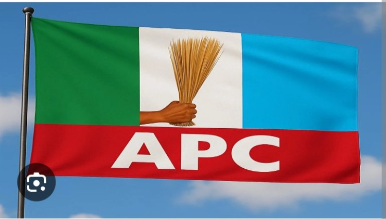 2027 Polls: Abdulaziz Yari Emerges APC Campaign DG, Uzodimma Named Secretary